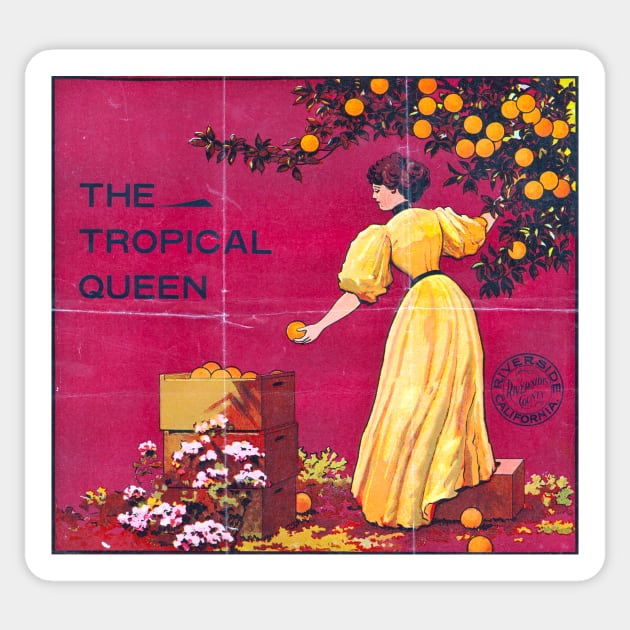 Tropical Queen crate label, circa 1888 - 1899 Sticker by WAITE-SMITH VINTAGE ART